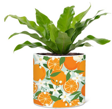Load image into Gallery viewer, Oranges & Blossoms Planter 6.5"