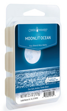 Load image into Gallery viewer, Moonlit Ocean Classic Soy Wax Melts