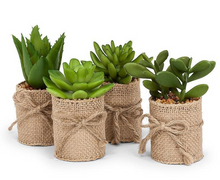 Load image into Gallery viewer, Burlap Succulent - Assorted Styles