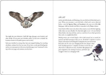 Load image into Gallery viewer, The Birders Logbook