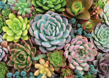 Load image into Gallery viewer, Succulent Garden - 1000 Piece Puzzle