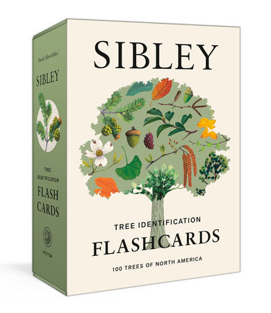Tree Identification Flash Cards Box Set by David Allen Sibley
