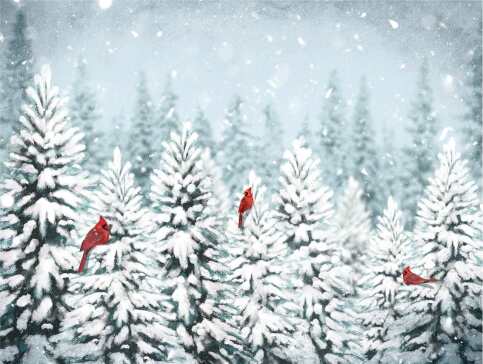 Winter Cardinal Block Wall Decor