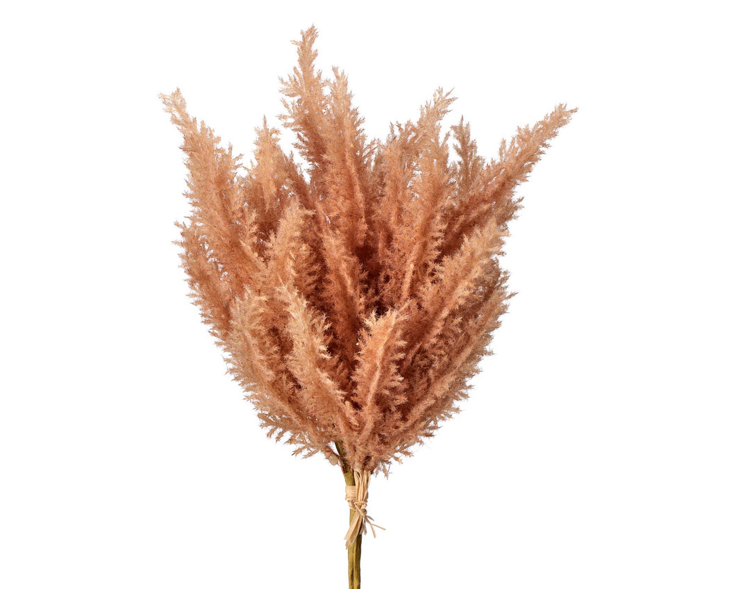 Mini Pampas Bundle - Brown