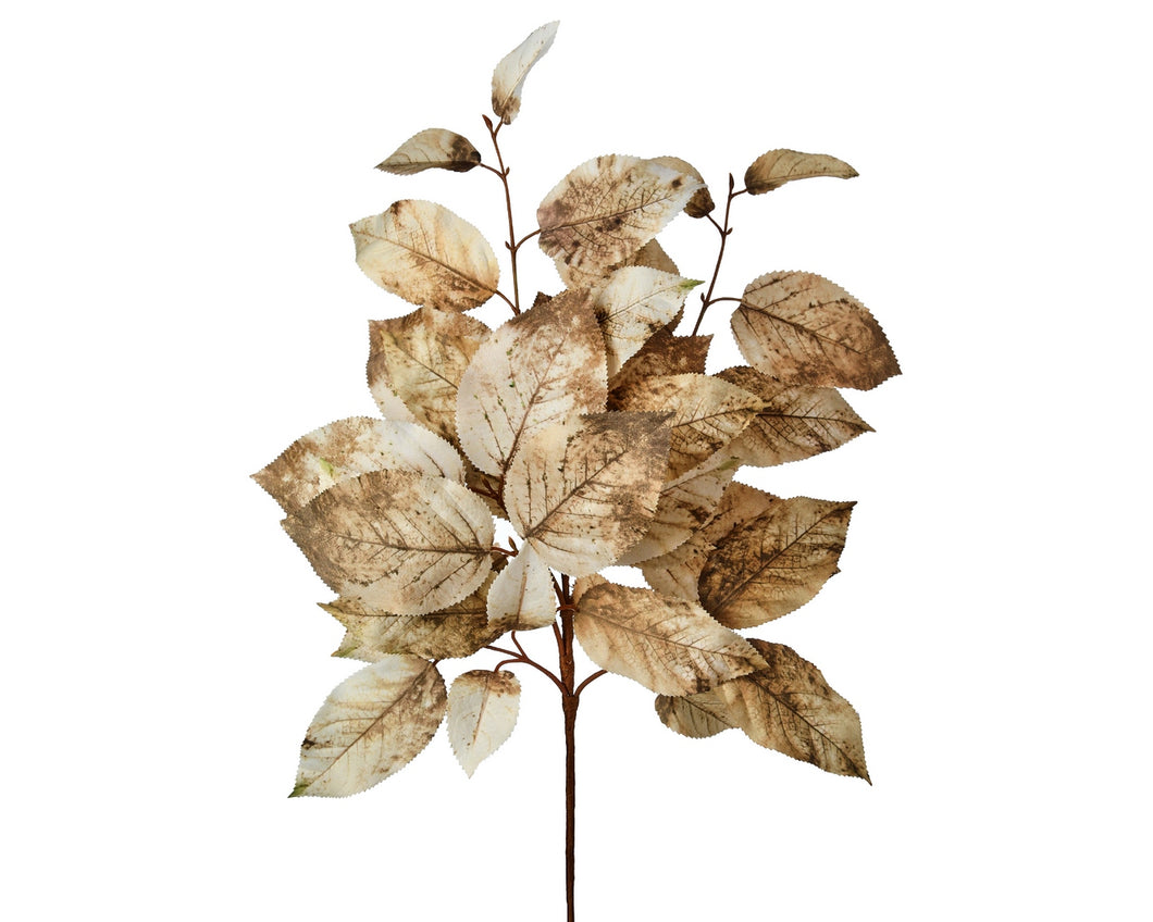 Cream & Brown Leaf Stem 20