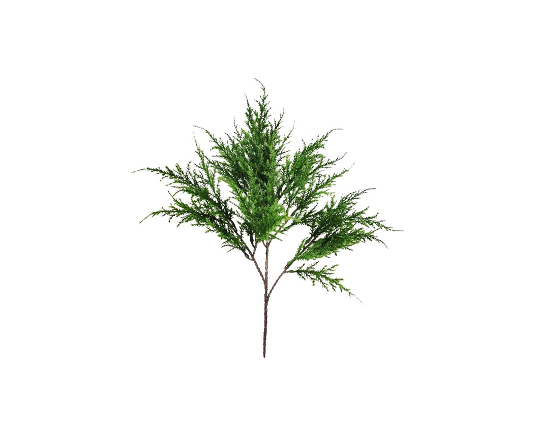 Green Cedar Bush - 18