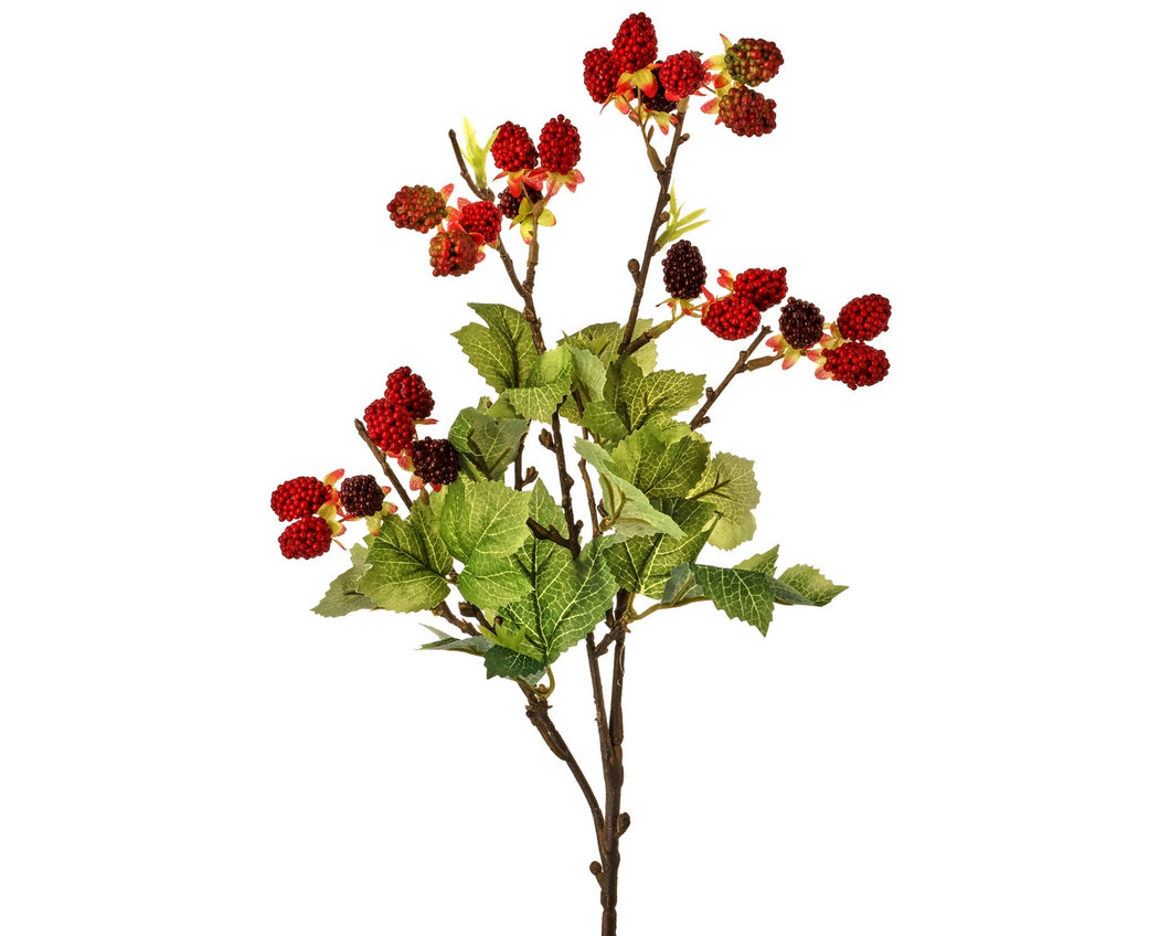 Raspberry Cluster 19