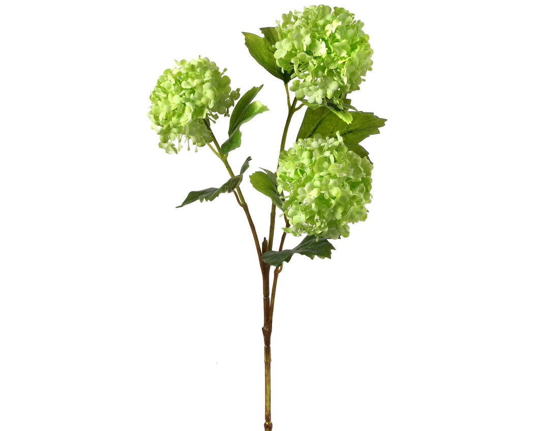 Green Viburnum Stem 33