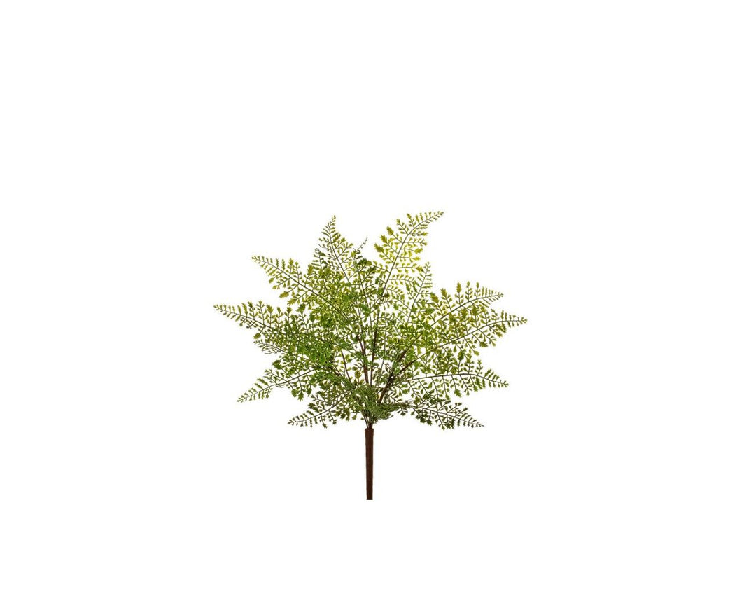 Lace Fern Bouquet - Green