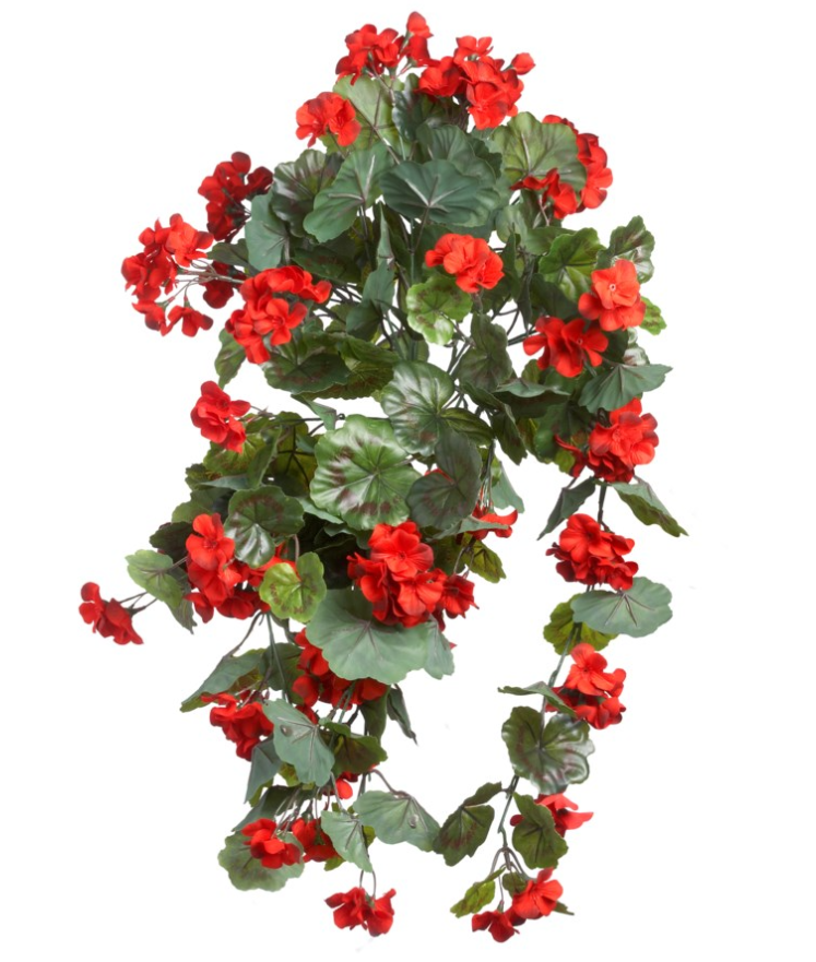 Red Hanging Gernium Plant - UV Protected 30