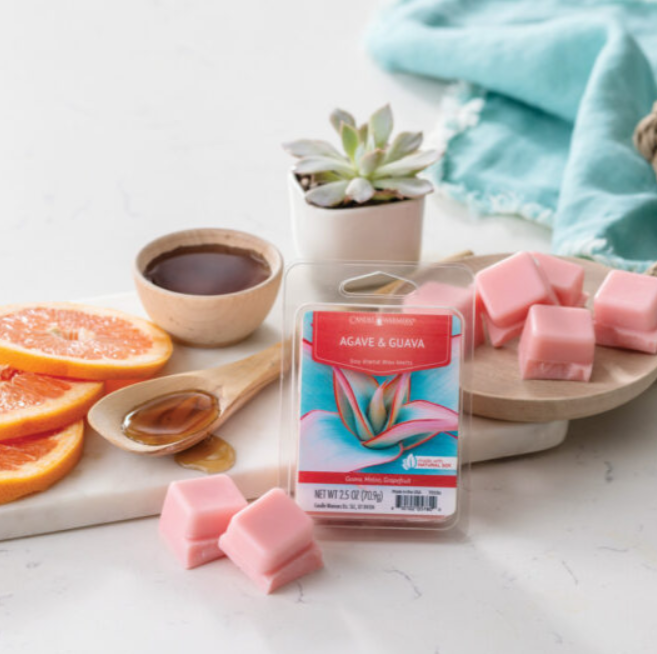 Agave & Guava Artisan Soy Wax Melts