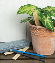 Load image into Gallery viewer, Seed &amp; Sprout Gardening Label Set  - Assorted Colors
