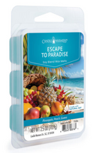 Load image into Gallery viewer, Escape To Paradise Classic Wax Melts
