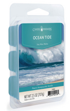 Load image into Gallery viewer, Ocean Tide Classic Soy Wax Melts
