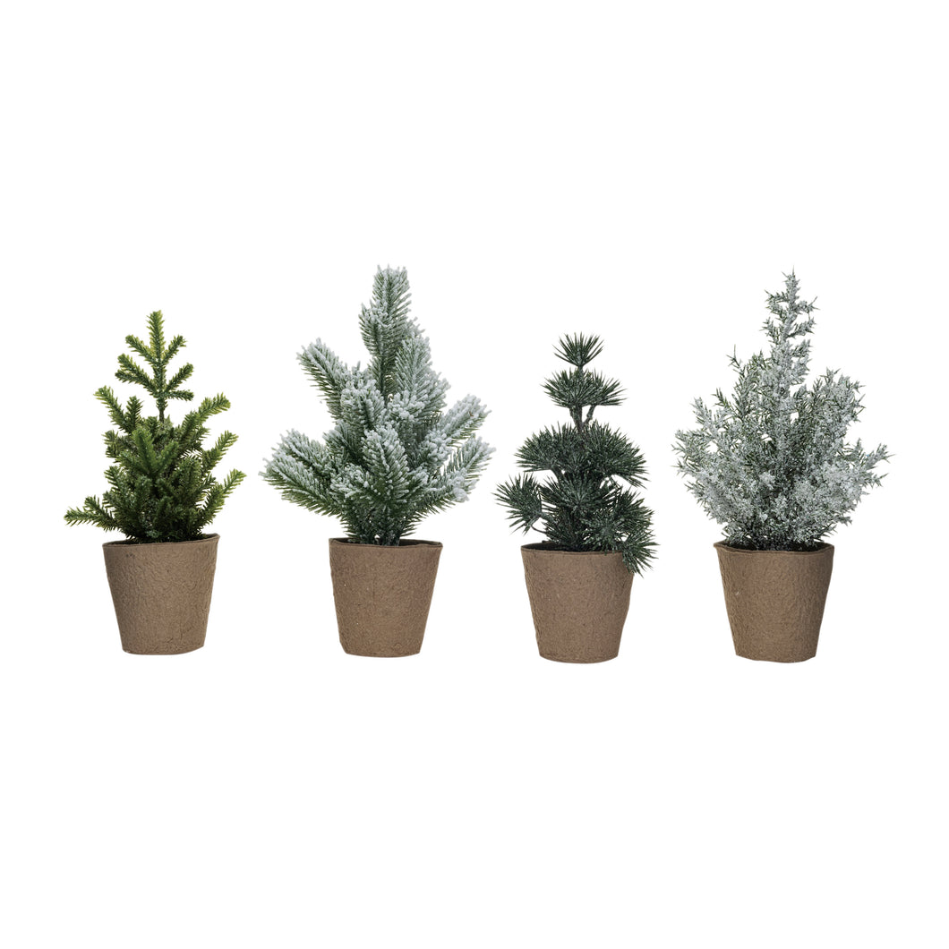Mini Pine Planter - Assorted