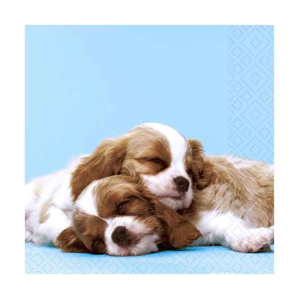 Puppy Love Lunch Napkins