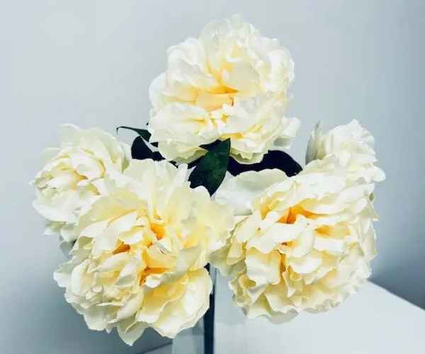 Peony Bouquet - Cream