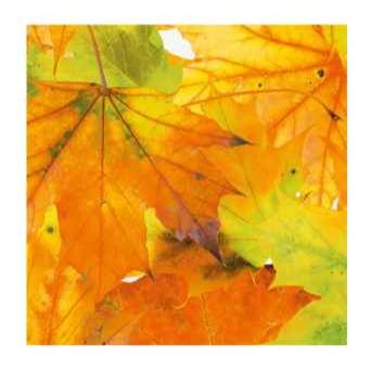 Autumn Leaves Lunch Napkins