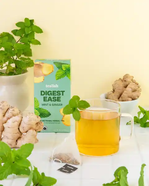 Tealish Organic Digest Ease Sachets (15)