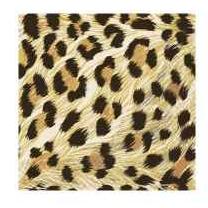 Leo Print Lunch Napkins