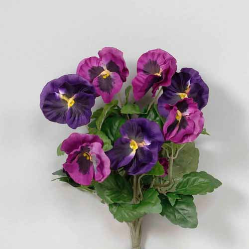 Magenta & Purple Pansy Bouquet