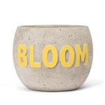 Load image into Gallery viewer, BLOOM Planter - 6&quot;
