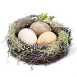 Spring Nest & Egg Decor