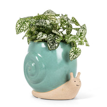 Load image into Gallery viewer, Charming Snail Planter - Blue
