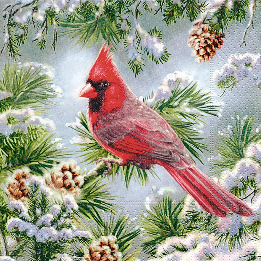 Winter Cardinal - Napkins
