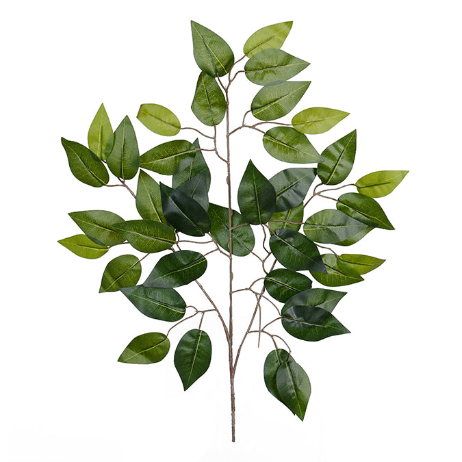 Decorative Ficus Stem - Green