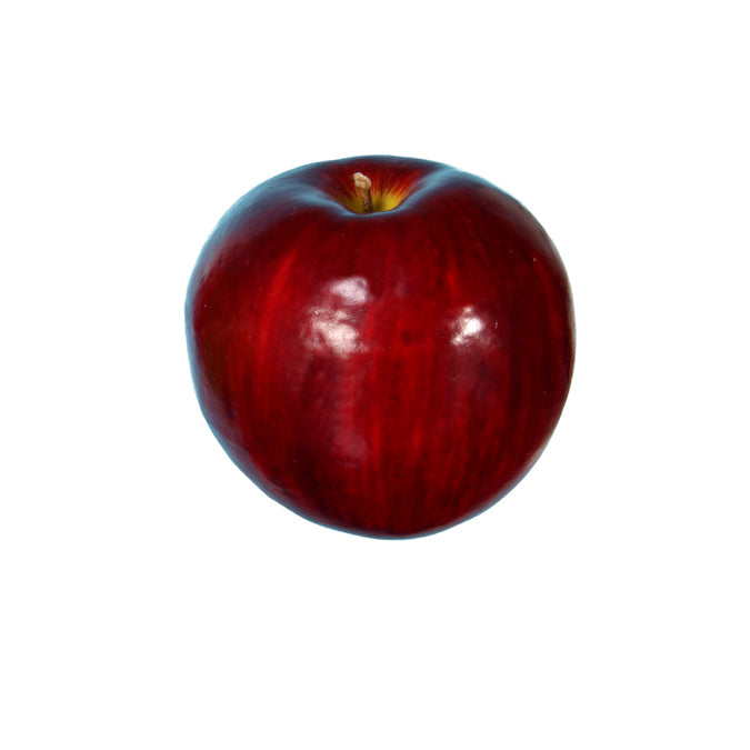 Decorative McIntosh Apple - Red