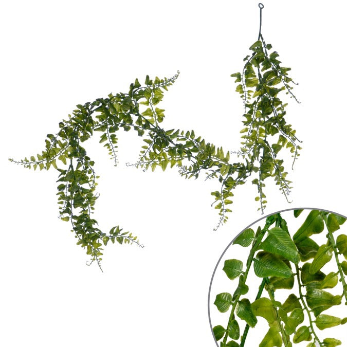 Buckler Fern Garland - 6'