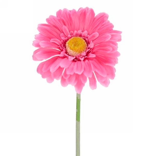 Decorative Gerbera Daisy - Pink