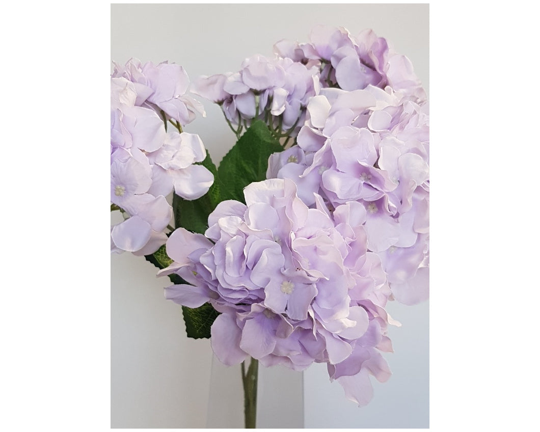Hydrangea Bush - Lilac - 18