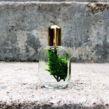Load image into Gallery viewer, Drink the Wild Air Luxe Perfume Oil
