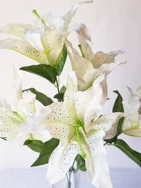 Tiger Lily Bouquet - Cream