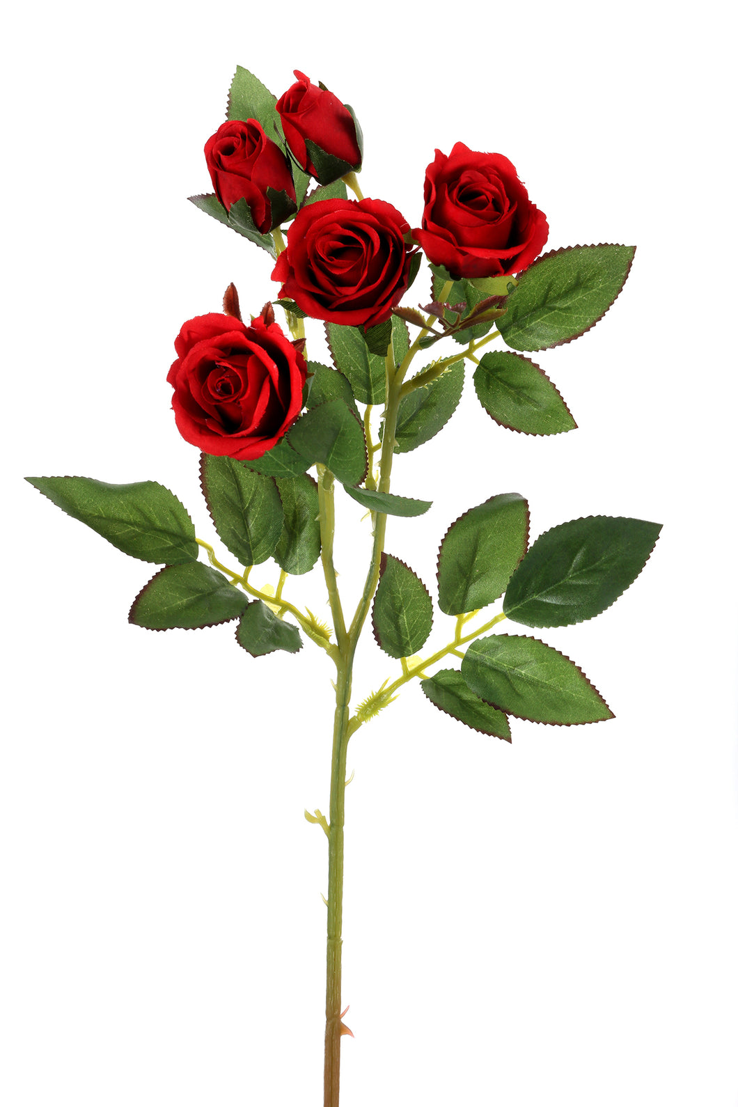 Rose Bunch - Classic Red