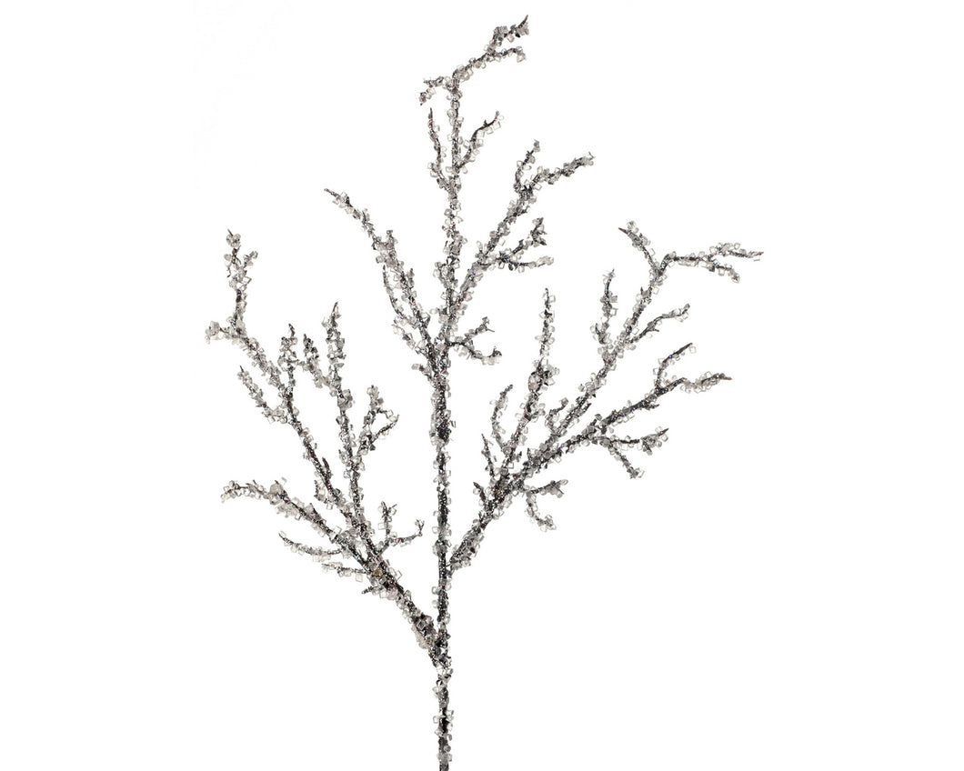 Iced Branch - 19