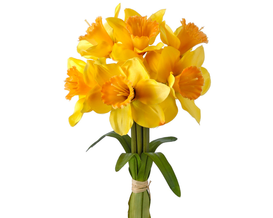 Daffodil Bundle - Yellow