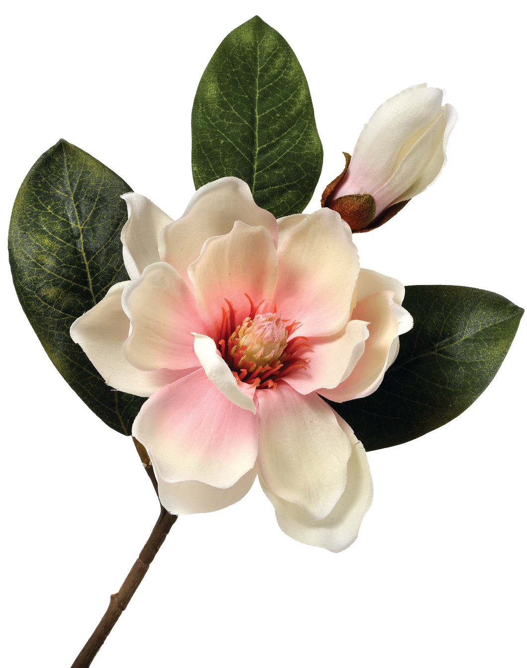Magnolia Bud & Bloom Stem - Cream & Pink