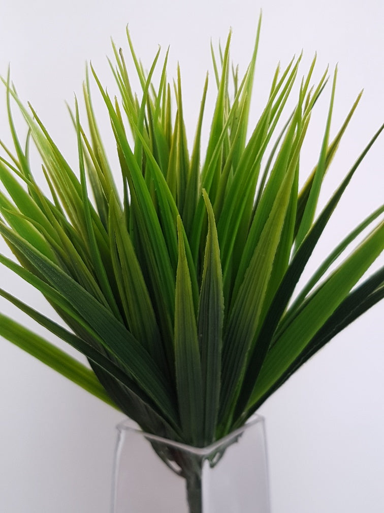 Decorative Vanilla Grass