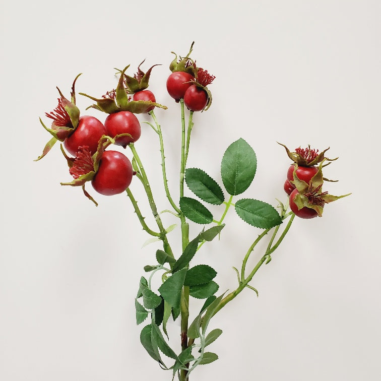 Rose Hip Stem