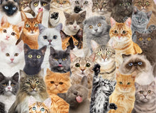 Load image into Gallery viewer, Peter Pauper Press - 500 Piece Puzzle
