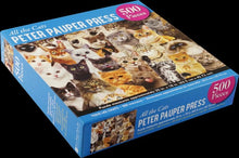 Load image into Gallery viewer, Peter Pauper Press - 500 Piece Puzzle
