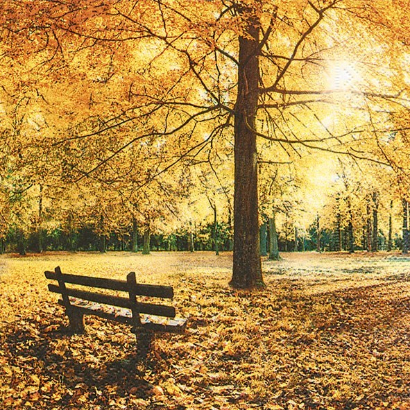 Golden Autumn Bench Napkins