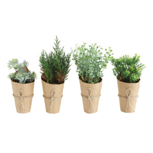 Wrapped and Potted Faux Herbs - Assorted